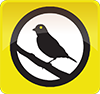 Canary logo